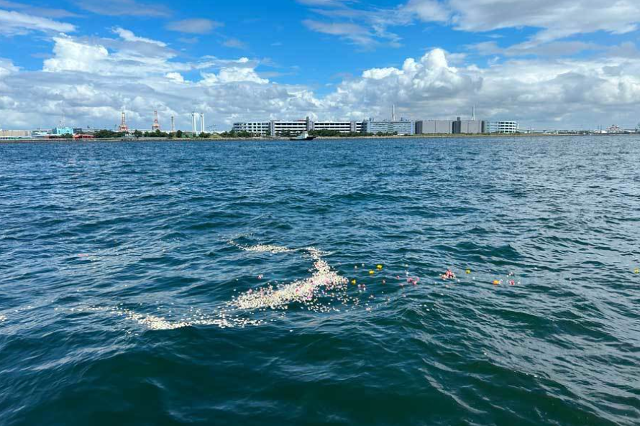 鶴見つばさ橋・海洋散骨イメージP