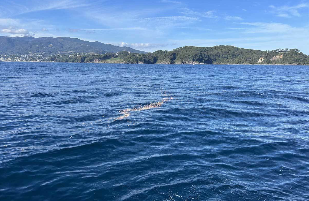 相模湾・真鶴半島