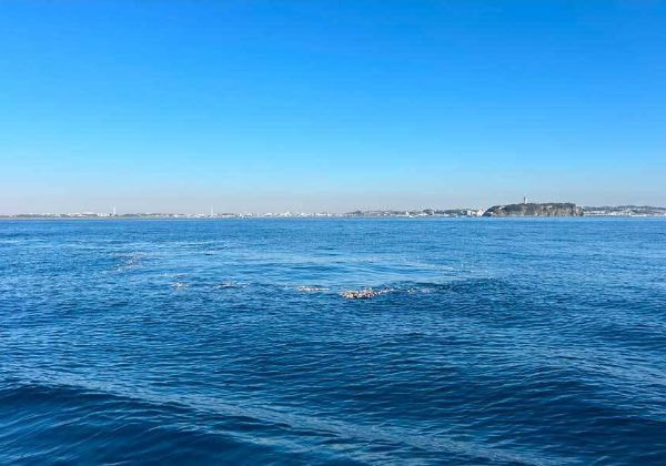 横浜の散骨ポイント