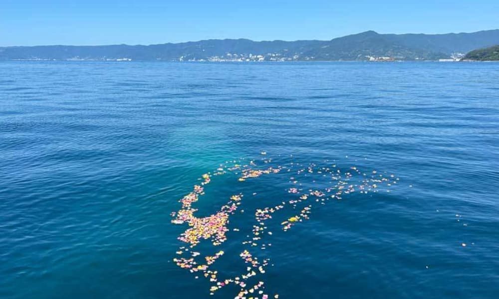 真鶴・海洋散骨イメージ