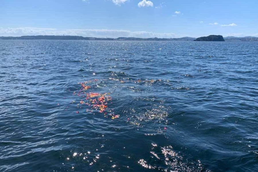 横須賀の海洋散骨