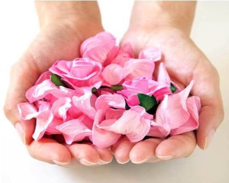 代行散骨スタンダードプランのイメージ|両手に抱えたピンクの花びらで献花して見送る