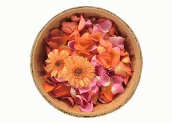 色とりどりの花びらの献花|海へ捧げるプライベート散骨サービス
