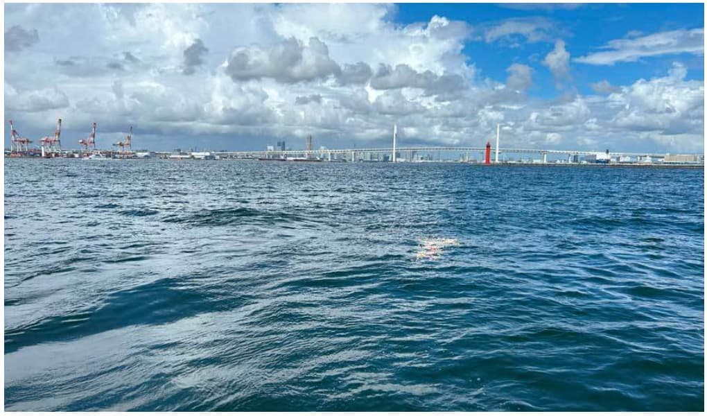 横浜・ベイブリッジ沖での代行散骨|献花が静かに海に広がる様子